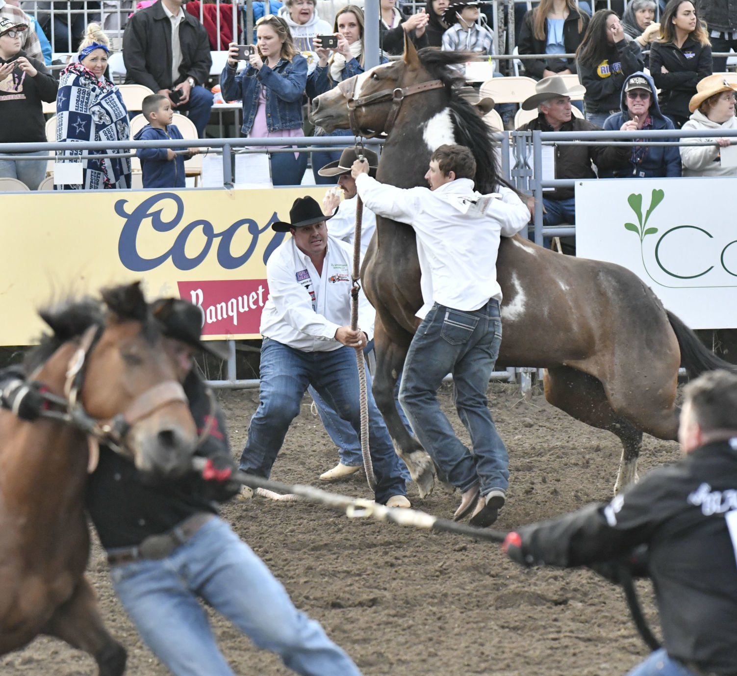 053019 Rodeo Thursday 15.jpg